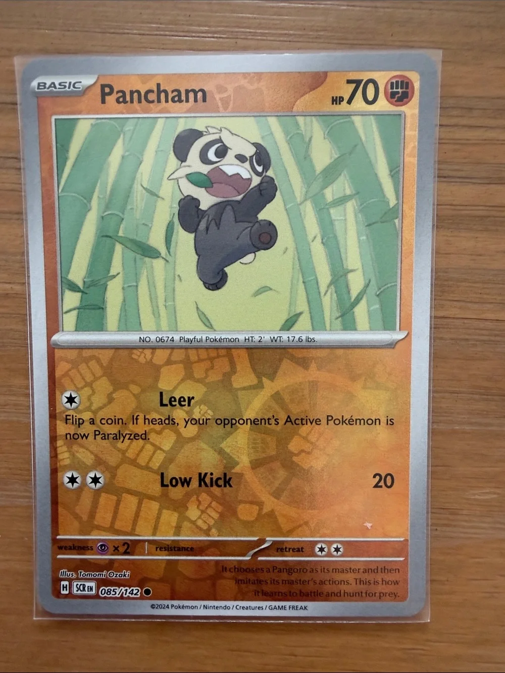 Pancham & Pangoro Evolution Lot | 2 Reverse Holo Pokémon Cards ✨5/$25✨